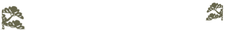 上湯